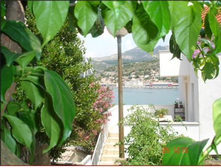 Apartments Vila Dana Dubrovnik Exterior foto